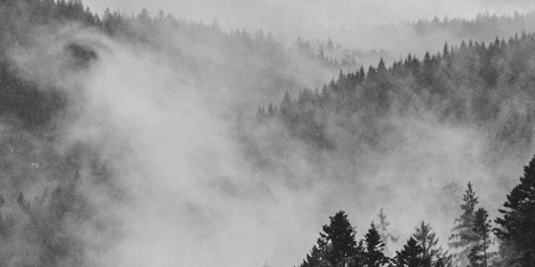 哈哈体育真人骰宝游戏直播 - 紧张刺激的骰子游戏